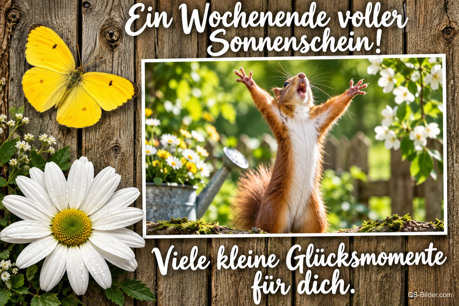Eichhörnchen reckt jubelnd die Pfoten, Margerite und Zitronenfalter auf Holz, Text: Ein Wochenende voller Sonnenschein! Viele kleine Glücksmomente für dich.