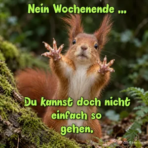 Eichhörnchen streckt verzweifelt die Pfoten aus, Text: Nein Wochenende … du kannst doch nicht einfach so gehen.