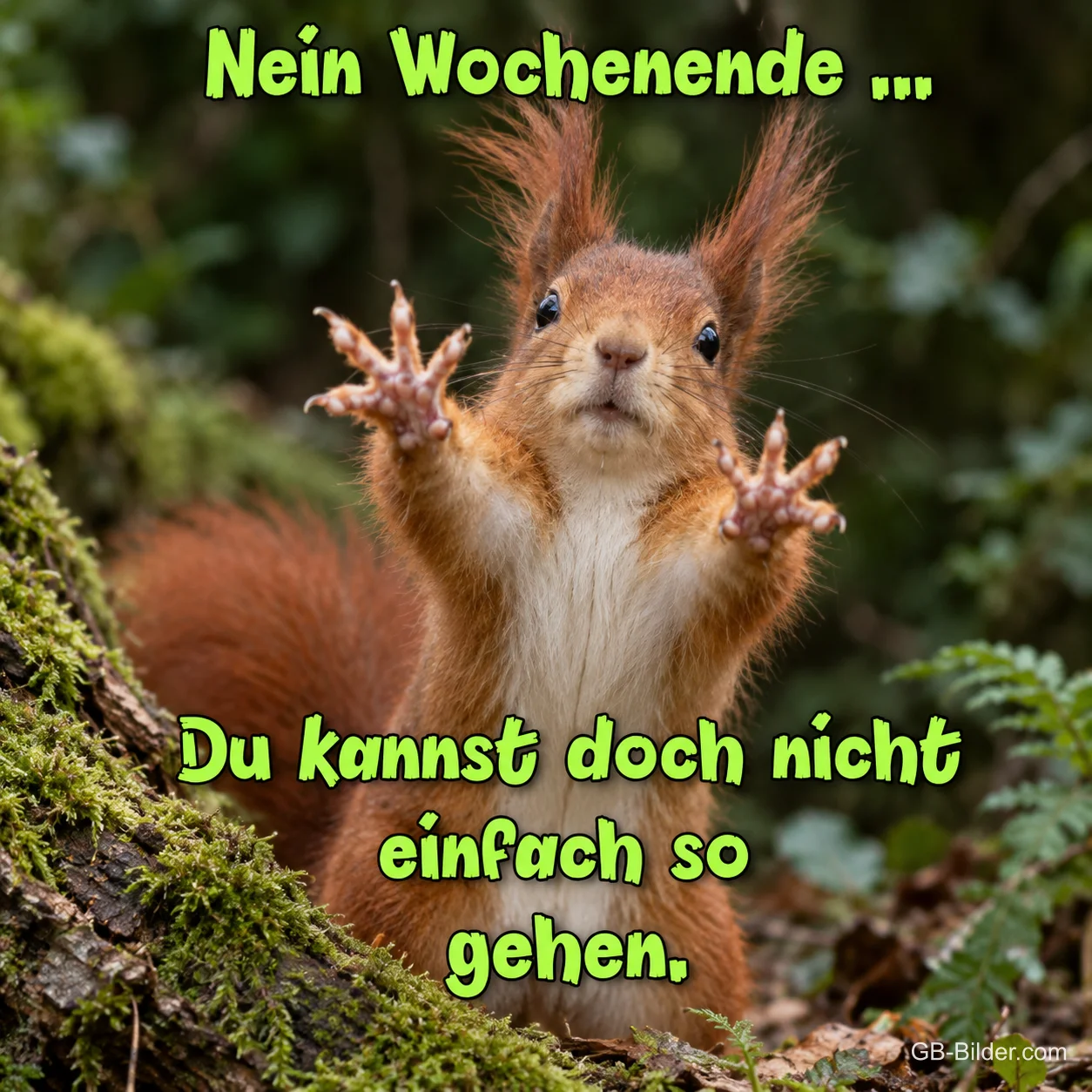 Eichhörnchen streckt verzweifelt die Pfoten aus, Text: Nein Wochenende … du kannst doch nicht einfach so gehen.