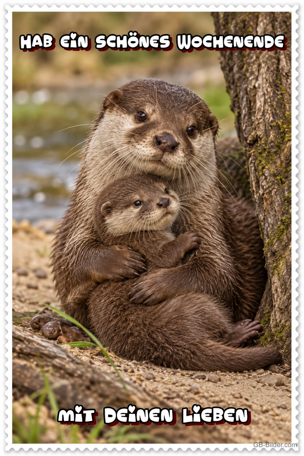 Otter-Mutter umarmt ihr Junges, Text: Hab ein schönes Wochenende mit deinen Lieben
