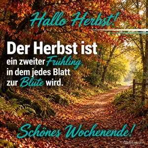 Waldweg im bunten Herbstwald, Text: Hallo Herbst! Der Herbst ist ein zweiter Frühling, in dem jedes Blatt zur Blüte wird. Schönes Wochenende!