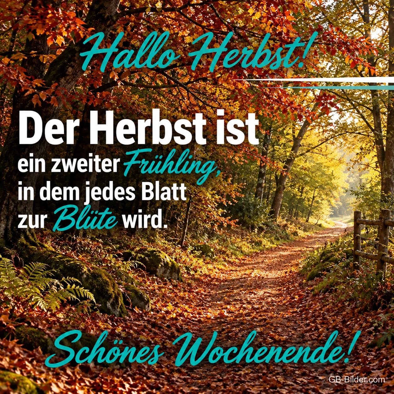 Waldweg im bunten Herbstwald, Text: Hallo Herbst! Der Herbst ist ein zweiter Frühling, in dem jedes Blatt zur Blüte wird. Schönes Wochenende!