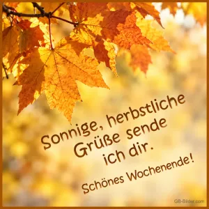 Goldgelbe Ahornblätter im Sonnenlicht, Text: Sonnige, herbstliche Grüße sende ich dir. Schönes Wochenende!