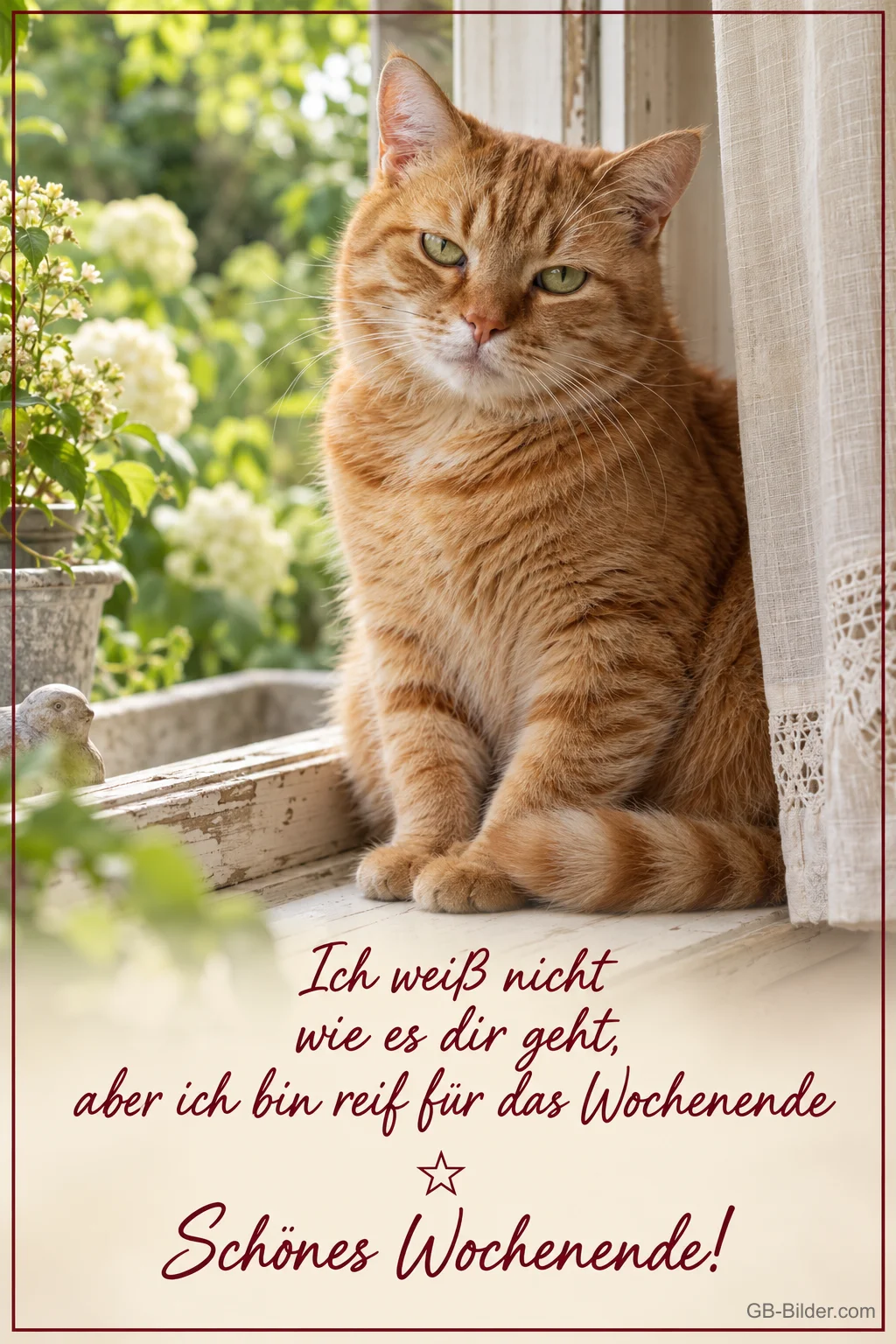 Müder roter Kater auf der Fensterbank, Text: Ich bin reif für das Wochenende. Schönes Wochenende!
