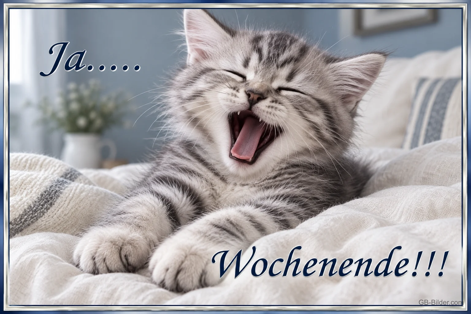 Gähnendes Kätzchen auf der Bettdecke, Text: Ja … Wochenende!!!
