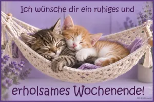 Zwei schlafende Kätzchen in einer Hängematte, Text: Ich wünsche dir ein ruhiges und erholsames Wochenende!