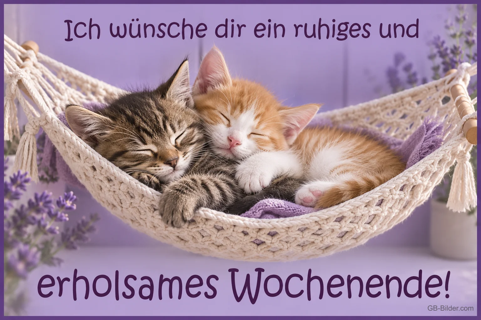 Zwei schlafende Kätzchen in einer Hängematte, Text: Ich wünsche dir ein ruhiges und erholsames Wochenende!