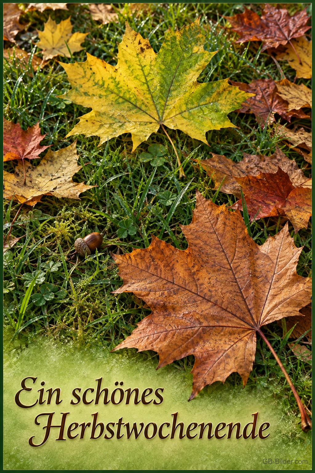 Ahornlaub im Gras, Text: Ein schönes Herbstwochenende