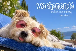 Hund mit Sonnenbrille auf einer Liege, Text: Wochenende – endlich mal richtig abchillen