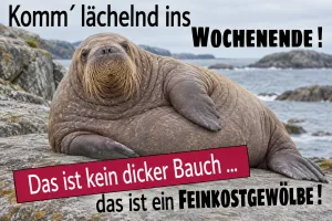Walross auf einem Felsen, lustiger Spruch: Das ist kein dicker Bauch, das ist ein Feinkostgewölbe!
