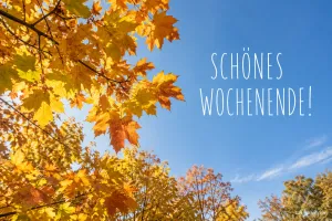 Goldgelbes Herbstlaub vor blauem Himmel, Text: Schönes Wochenende!