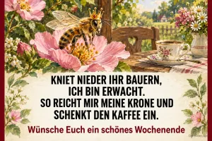 Biene mit Krone auf einer Rosenblüte, lustiger Spruch: Kniet nieder ihr Bauern, ich bin erwacht. Schönes Wochenende