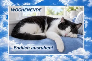 Schlafende Katze auf blauem Kissen, Text: Wochenende – Endlich ausruhen!