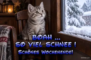 Kätzchen am Fenster im Schnee, Text: Boah, so viel Schnee! Schönes Wochenende!