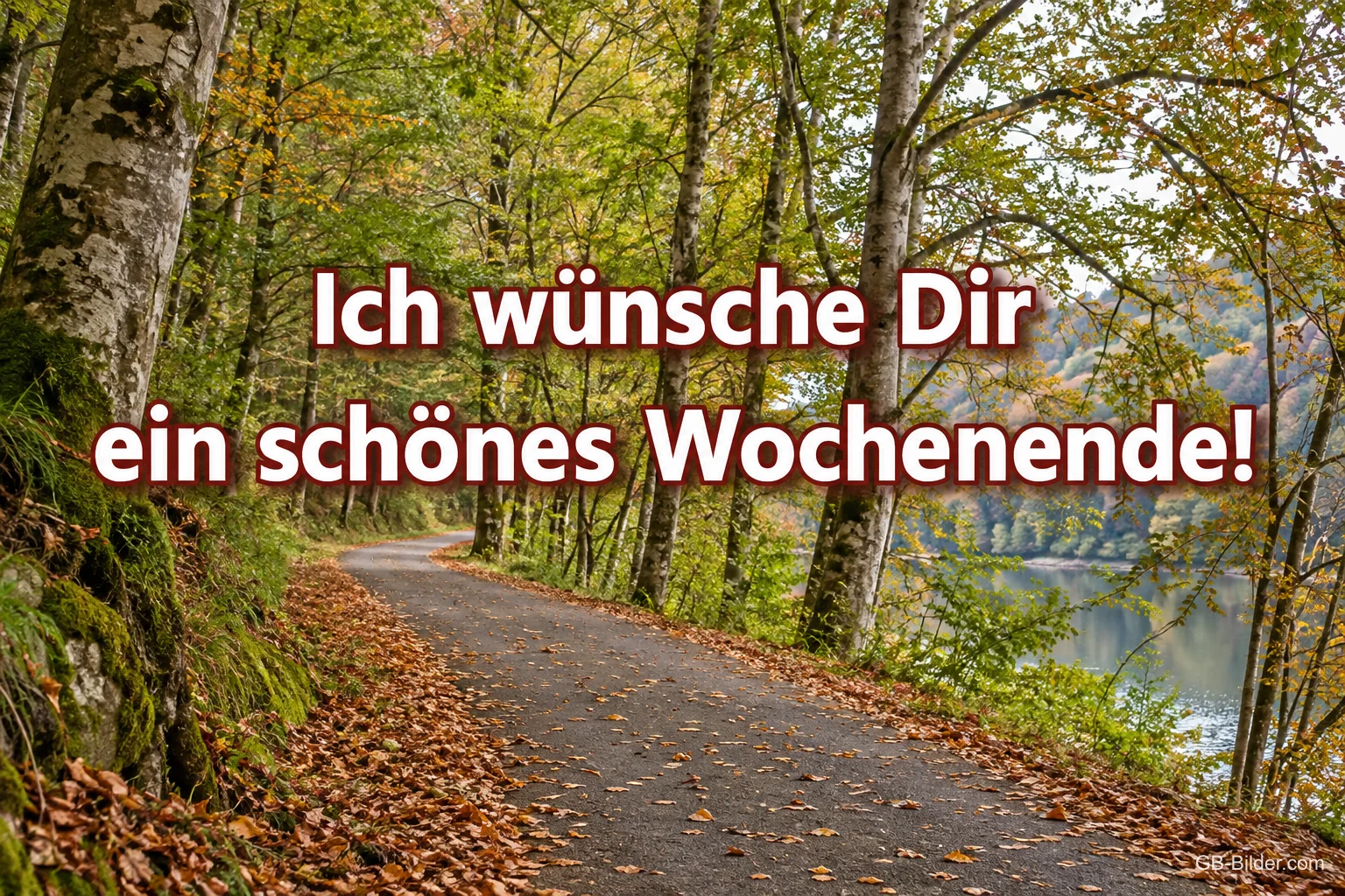 Laubbedeckte Allee am See, Text: Ich wünsche Dir ein schönes Wochenende!
