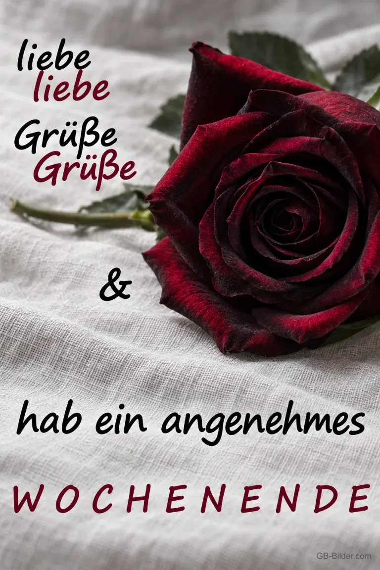 Dunkelrote Rose auf Leinen, Text: liebe Grüße und hab ein angenehmes Wochenende