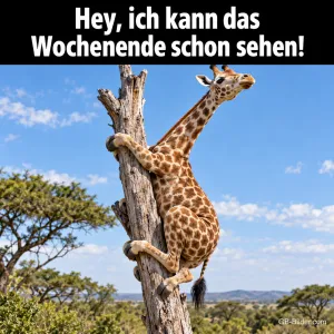 Giraffe klettert einen kahlen Baum hinauf und schaut in die Ferne, Text: Hey, ich kann das Wochenende schon sehen!