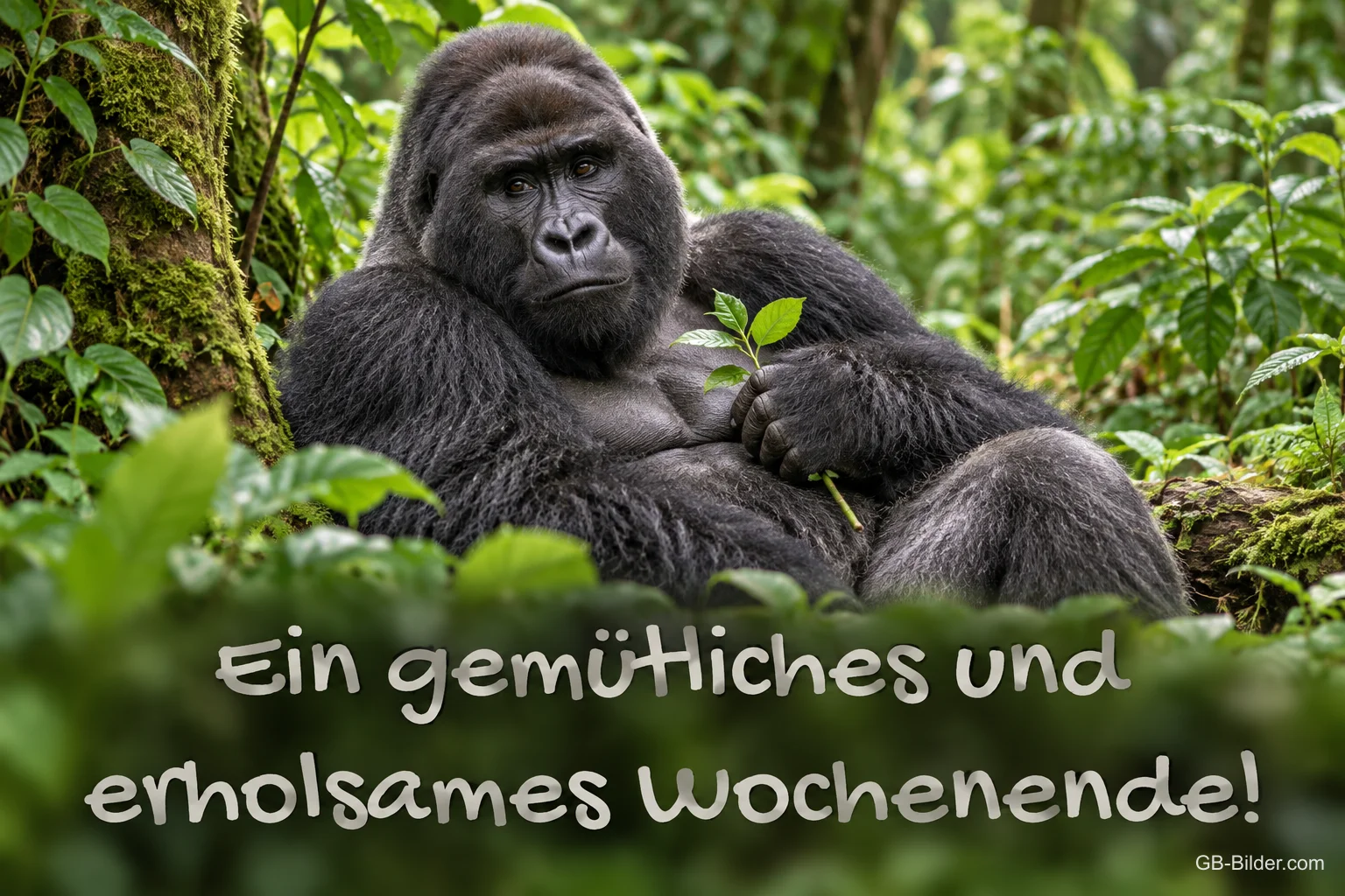 Entspannter Gorilla im Regenwald, Text: Ein gemütliches und erholsames Wochenende!