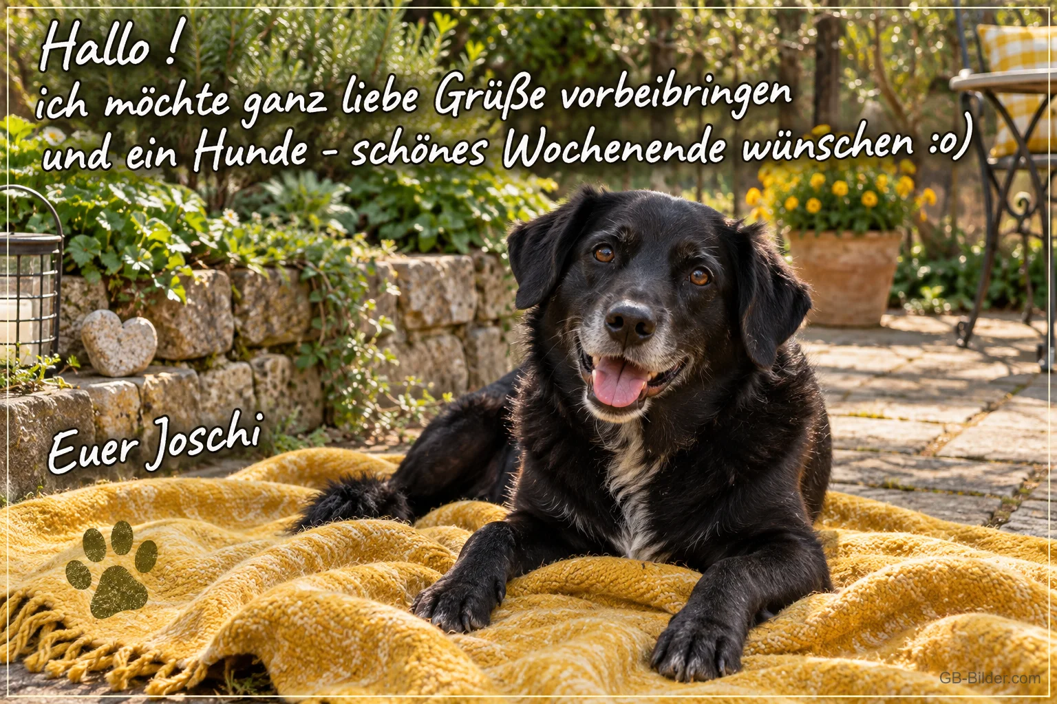 Schwarzer Hund auf gelber Decke, Text: Ganz liebe Grüße und ein Hunde-schönes Wochenende, Euer Joschi