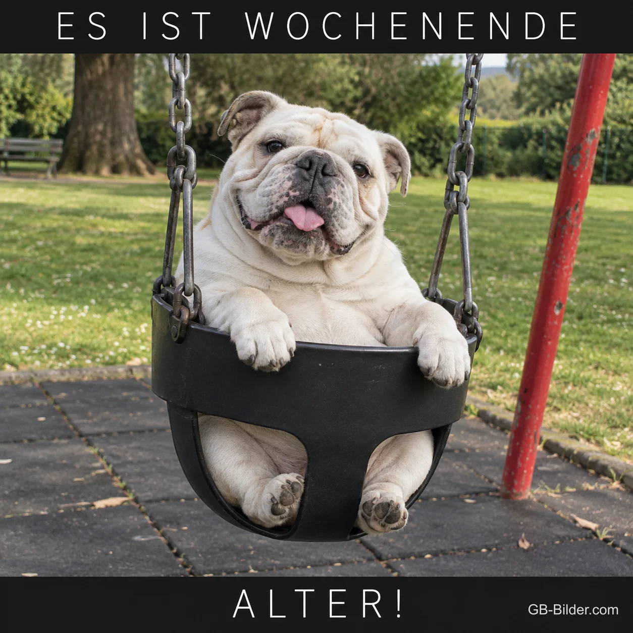 Bulldogge in einer Babyschaukel, Text: Es ist Wochenende, Alter!