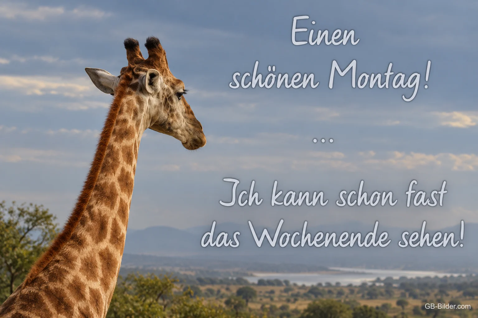 Giraffe über der Savanne, Text: Einen schönen Montag! Ich kann schon fast das Wochenende sehen!
