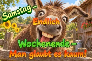 Esel lacht mit großen Augen über einen Holzzaun vor Sonnenblumen, Text: Samstag – Endlich Wochenende – Man glaubt es kaum!
