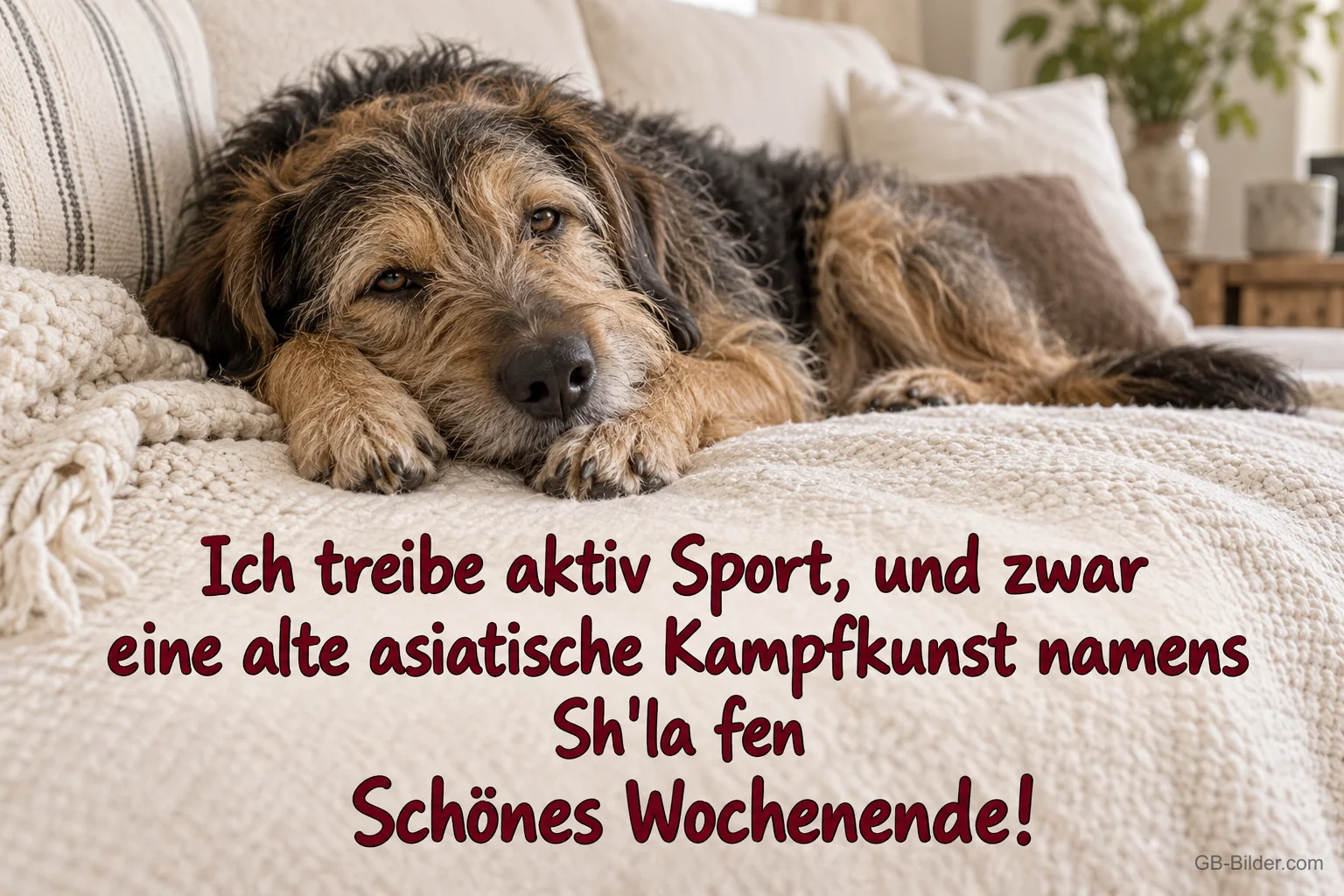 Müder Hund auf dem Sofa, lustiger Spruch: Sh'la fen, Schönes Wochenende!