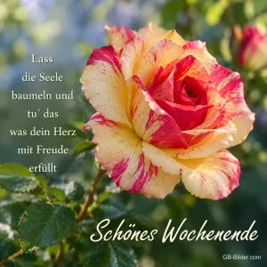 Rot-gelb geflammte Rose, Spruch: Lass die Seele baumeln, Schönes Wochenende