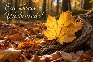 Gelbes Ahornblatt im Herbstlaub, Text: Ein schönes Wochenende!