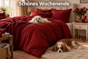 Zwei Hunde am roten Bett, Text: Schönes Wochenende
