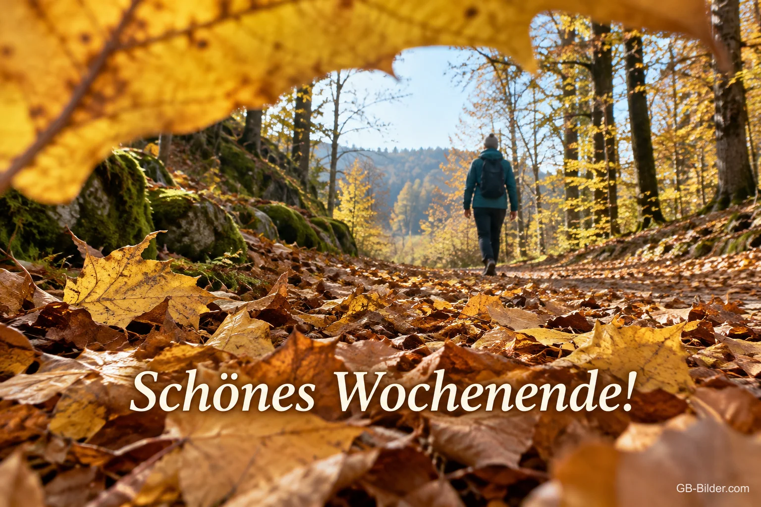 Spaziergang im Herbstwald, Text: Schönes Wochenende!