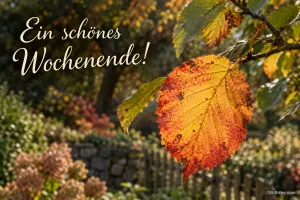 Herbstblatt an einem Zweig, Text: Ein schönes Wochenende!