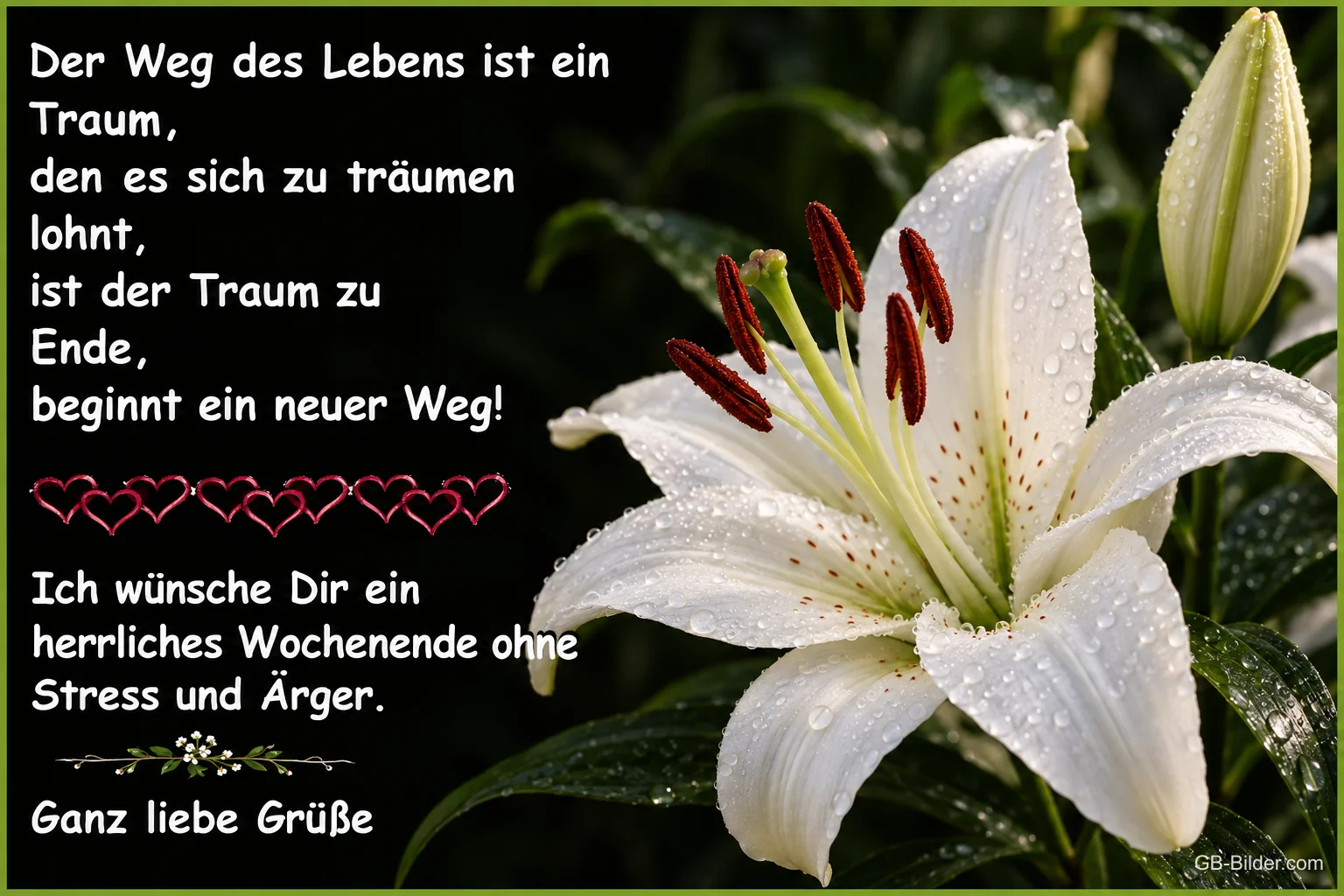 Weiße Lilie mit Tautropfen, Spruch: Der Weg des Lebens ist ein Traum, herrliches Wochenende