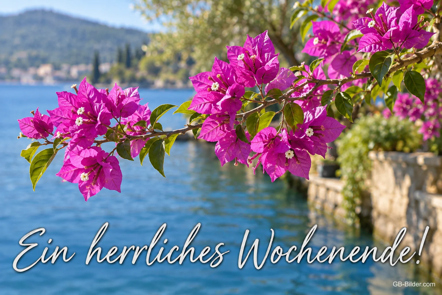Bougainvillea am See, Text: Ein herrliches Wochenende!