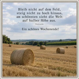 Strohballen auf dem Feld, Zitat Nietzsche, Ein schönes Wochenende!