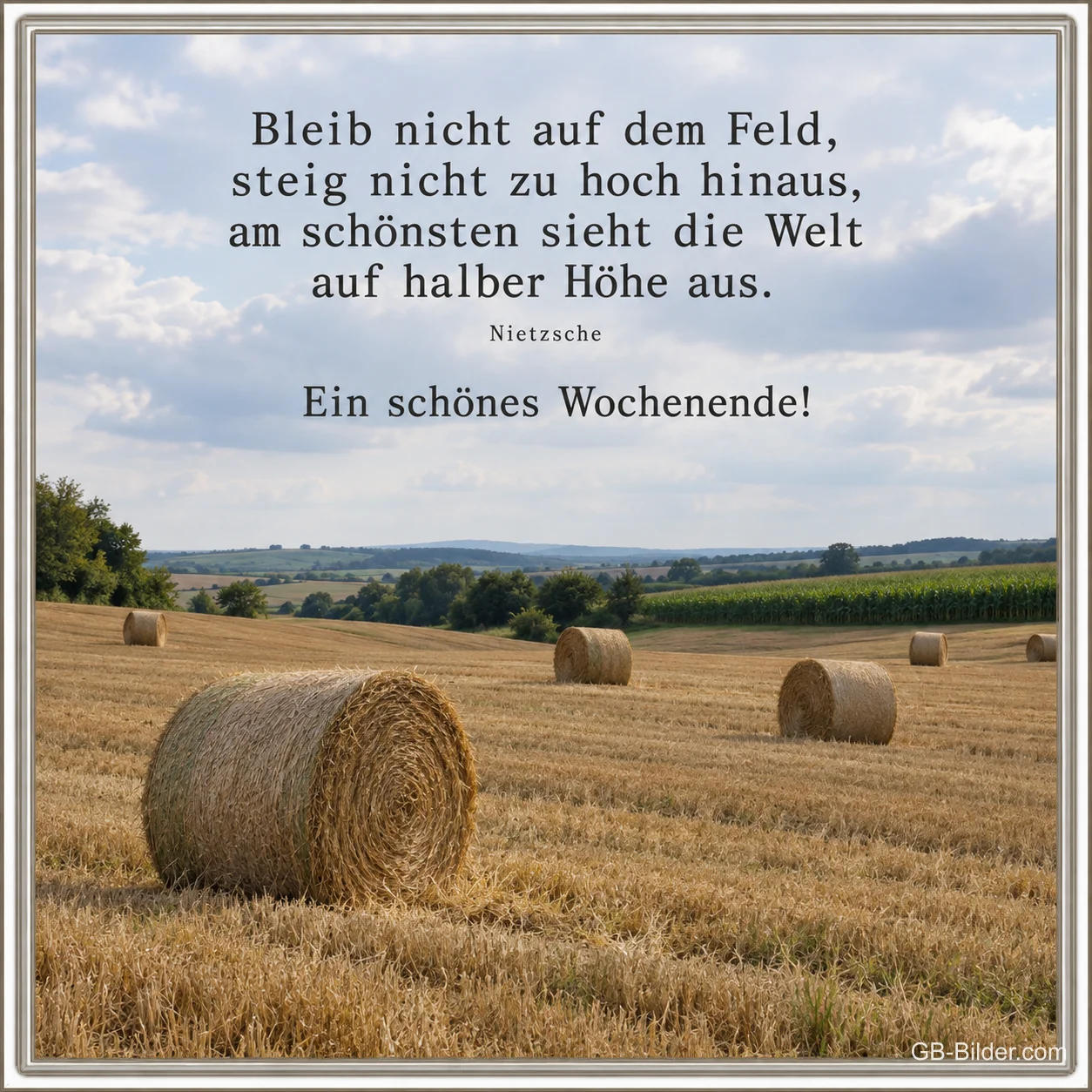 Strohballen auf dem Feld, Zitat Nietzsche, Ein schönes Wochenende!