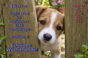 Welpe zwischen Holzpfosten, Text: Huhu hab ma in deinem GB vorbeigeschaut, Schönes Wochenende!