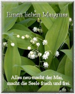 1 mai bilder