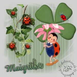 1 maigrüsse