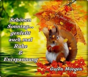 bilder schönen sonntag