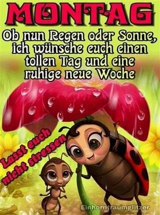 Der perfekte Morgenkaffee: So gelingt er dir jeden Tag