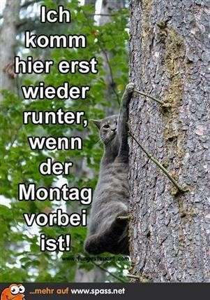 Der perfekte Morgenkaffee: So gelingt er dir jeden Tag Der perfekte Morgenkaffee: So gelingt er dir jeden Tag