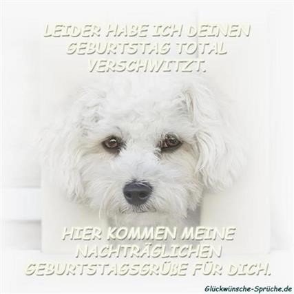 ᐅ Geburtstag Bilder Blumen Whatsapp GB Pics GBPicsBilder