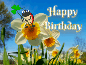 geburtstag bilder gif