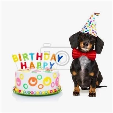 55 Bilder Mit Dem Tag Hund Alles Liebe Zum Geburtstag