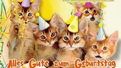 ᐅ geburtstag bilder katze - Feiertage und Anlasse GB Pics - GBPicsBilder