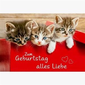 geburtstag bilder mit katzen