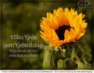 geburtstag bilder ohne text