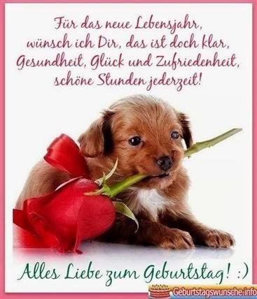 Https Www Xn Glckwnsche Sprche 32bdj De Glueckwuensche Geburtstag Geburtstagswuensche Whatsapp Html