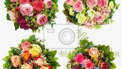 ᐅ geburtstag blumenstrauß bilder - Feiertage und Anlasse GB Pics - GBPicsBilder